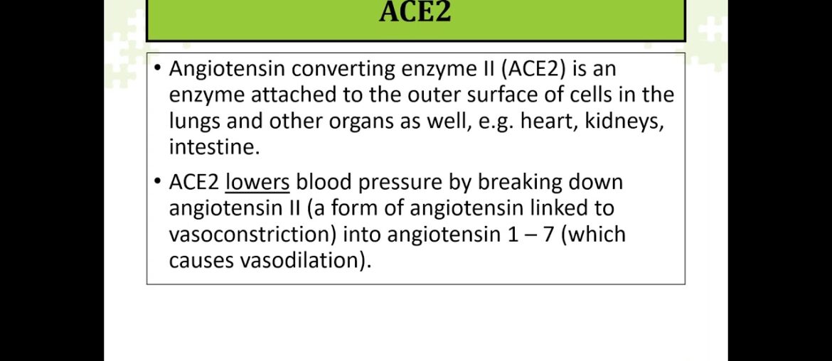 COVID-19, Immune Function and Strategies for Maintaining Health