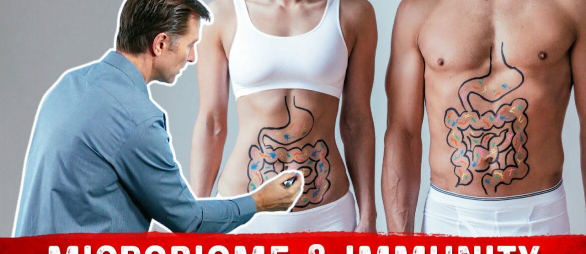 Your Immune System is Mostly Gut Bacteria