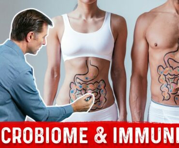Your Immune System is Mostly Gut Bacteria