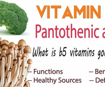 pantothenic acid explained || vitamin b5 review