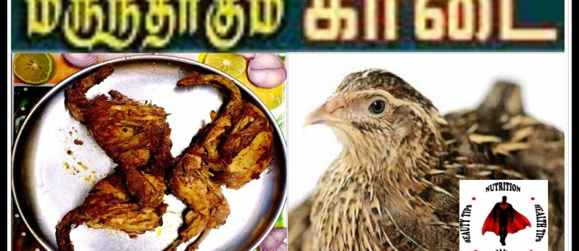 BENEFITS OF KAADAI FRY (QUAIL) & EATING ( TAMIL) / SAM FITNESS