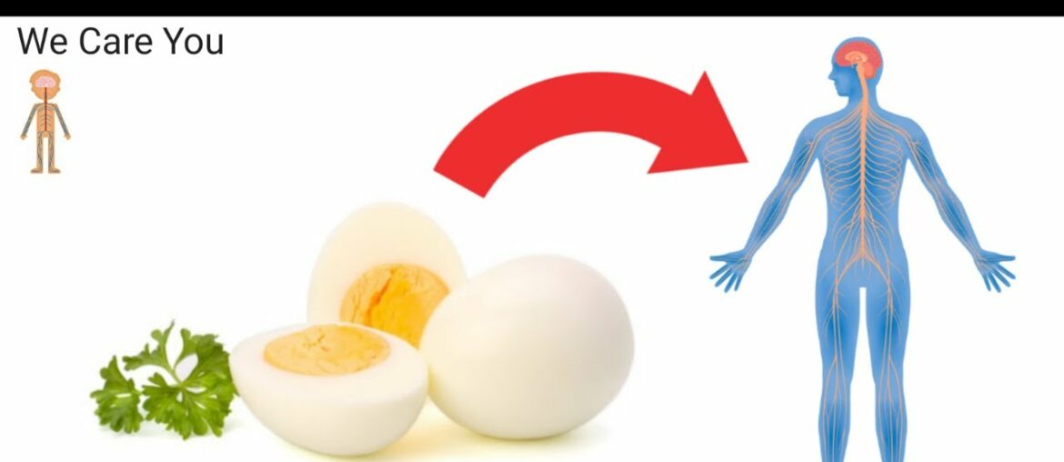 What Will Happen to you If you Eat 1 Hard Boiled Egg Every Morning