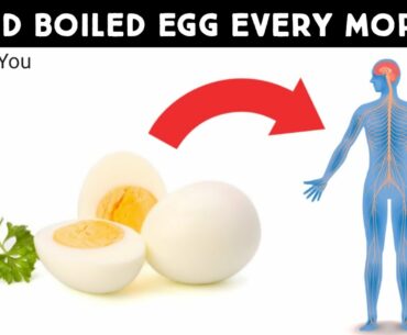 What Will Happen to you If you Eat 1 Hard Boiled Egg Every Morning