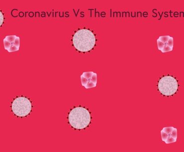 The Coronavirus Vs. The Immune System