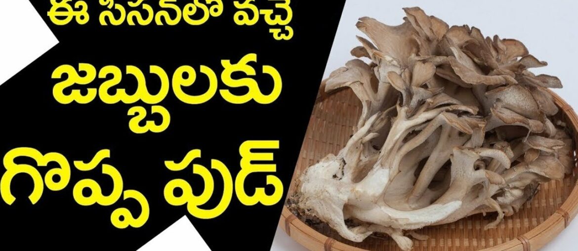 Surprising Health Benefits of Mushrooms | Best Natural Food to Heal All Immunity Problems