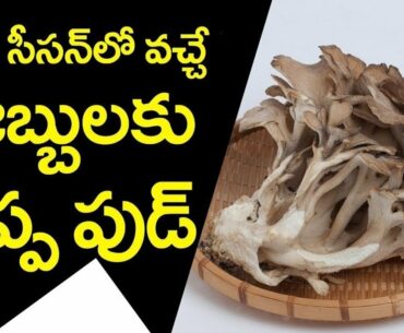 Surprising Health Benefits of Mushrooms | Best Natural Food to Heal All Immunity Problems