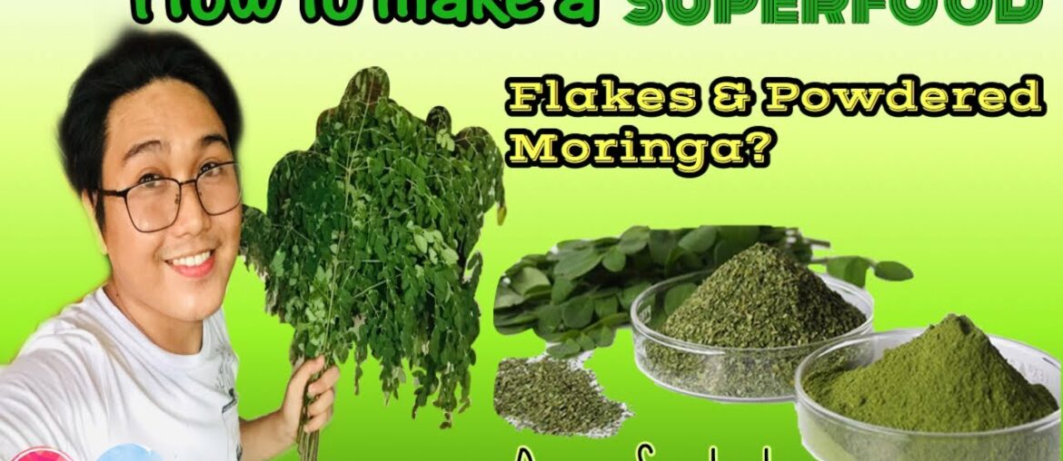 How to make a Flakes & Powdered Moringa (Malunggay) | Boost your immune system |Superfood