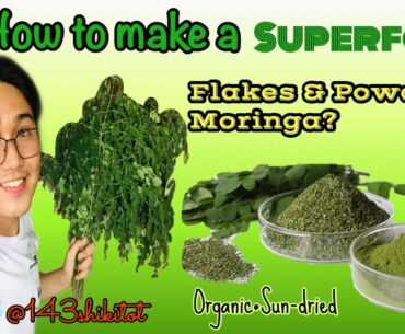 How to make a Flakes & Powdered Moringa (Malunggay) | Boost your immune system |Superfood