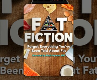 Fat Fiction