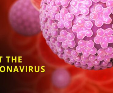 Raise Your Immunity Against Coronavirus