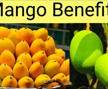 Mango Benefits || आम खाने के फायदे || Surprising Health Benefits Of Eating Mango