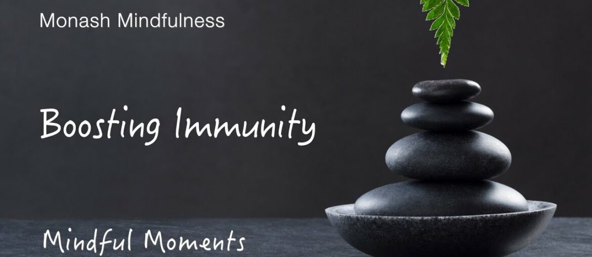 Boosting Immunity during COVID-19 | Mindful Moment with Craig Hassed | Monash Mindfulness