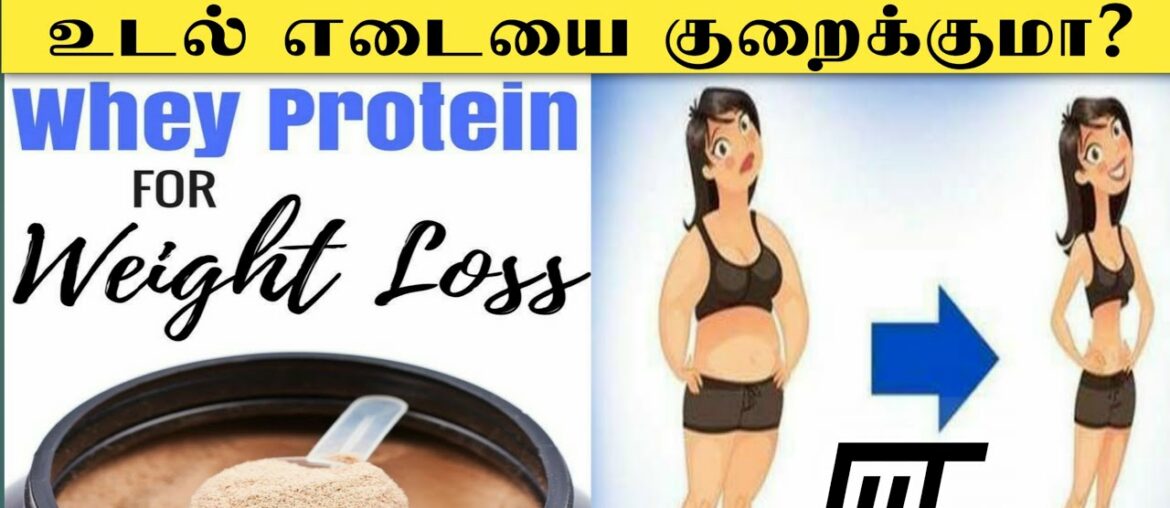 Protein powder  உடல் எடையை குறைக்குமா? | Fatloss | Whey | Protein Powder |Truth | Milk | Gym | tamil