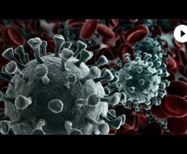 Testing for Coronavirus Immunity; Excess Sodium May Harm the Immune System