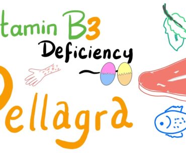 Pellagra (Vitamin B3 Deficiency)