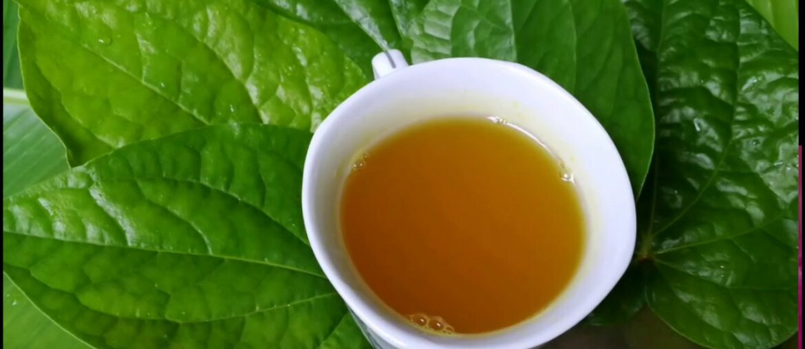 Vetrilai Pepper Soup/ Betel Leaves Soup/ வெற்றிலை கஷாயம்/ Immunity Booster / Corona virus Prevention