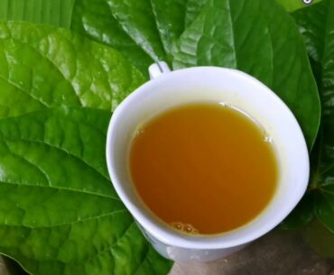 Vetrilai Pepper Soup/ Betel Leaves Soup/ வெற்றிலை கஷாயம்/ Immunity Booster / Corona virus Prevention