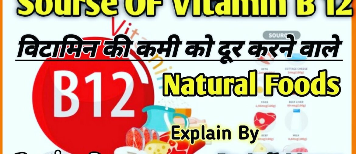 Sourse Of Vitamin B12 !! Foods In Vitamin B12 !! Daily Diet In Vitamin B !! शाकाहारी भोजन !! विटामीन