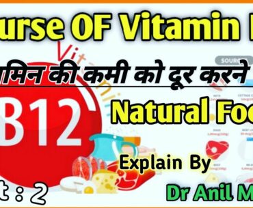 Sourse Of Vitamin B12 !! Foods In Vitamin B12 !! Daily Diet In Vitamin B !! शाकाहारी भोजन !! विटामीन