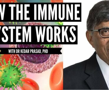 Dr Prasad How The Immune System Works, Micronutrients For Boosting Immune Health