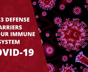 THE 3 DEFENSE BARRIERS OF OUR IMMUNE SYSTEM🧫. COVID-19🦠🧬