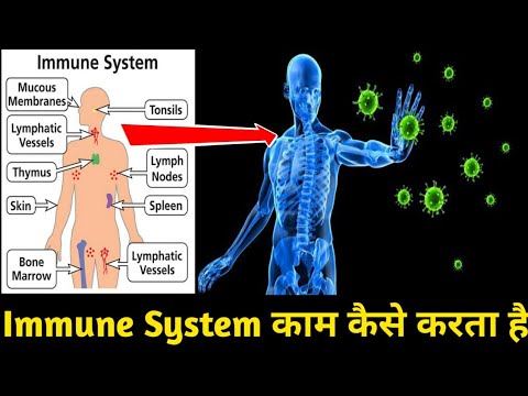 How does immune system respond to c*r*n*a????🗣🗣🗣