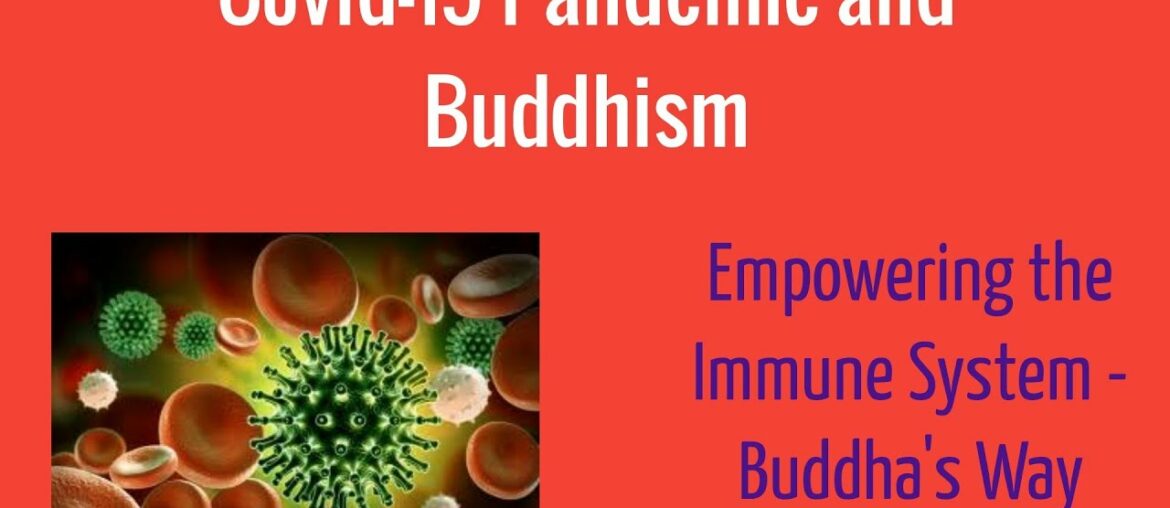 COVID-19 Pandemic and Buddhism: Empowering the Immune System - Buddha's Way