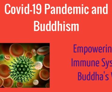 COVID-19 Pandemic and Buddhism: Empowering the Immune System - Buddha's Way