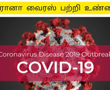 Supplyment of quercetin with vitamin -c and zinc for COVID-19