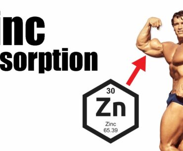 Enhancing Zinc Absorption