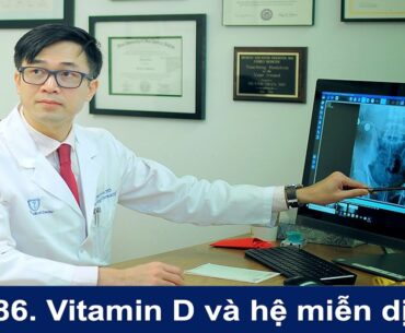 #186. Vitamin D tăng cường hệ miễn dịch