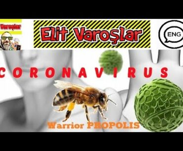 ENG, How to protect yourself for Coronavirus? Boost your immune system with Bee Propolis