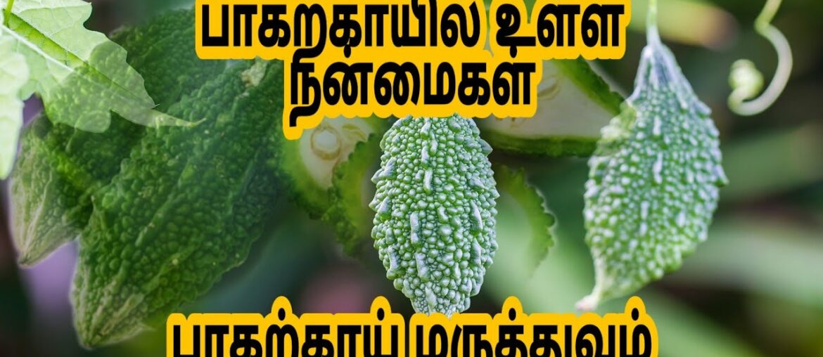 பாகற்காயில் உள்ள நன்மமை | Bitter gourd health benefits | Tamil Health and Nutrition