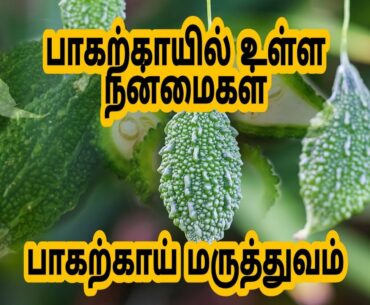 பாகற்காயில் உள்ள நன்மமை | Bitter gourd health benefits | Tamil Health and Nutrition