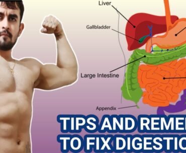 How To Improve Digestion/Bloating/Gas Problem | Detailed Tips/Natural Remedies By Sckullfitness