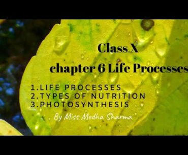Class 10 Life Processes. Types of Nutrition and Photosynthesis