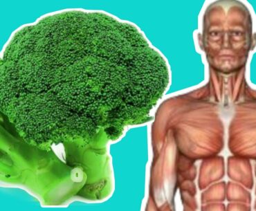 Eating Broccoli Every Day Will Do This To Your Body