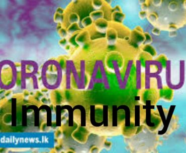 Coronavirus Immunity (don't catch anything)