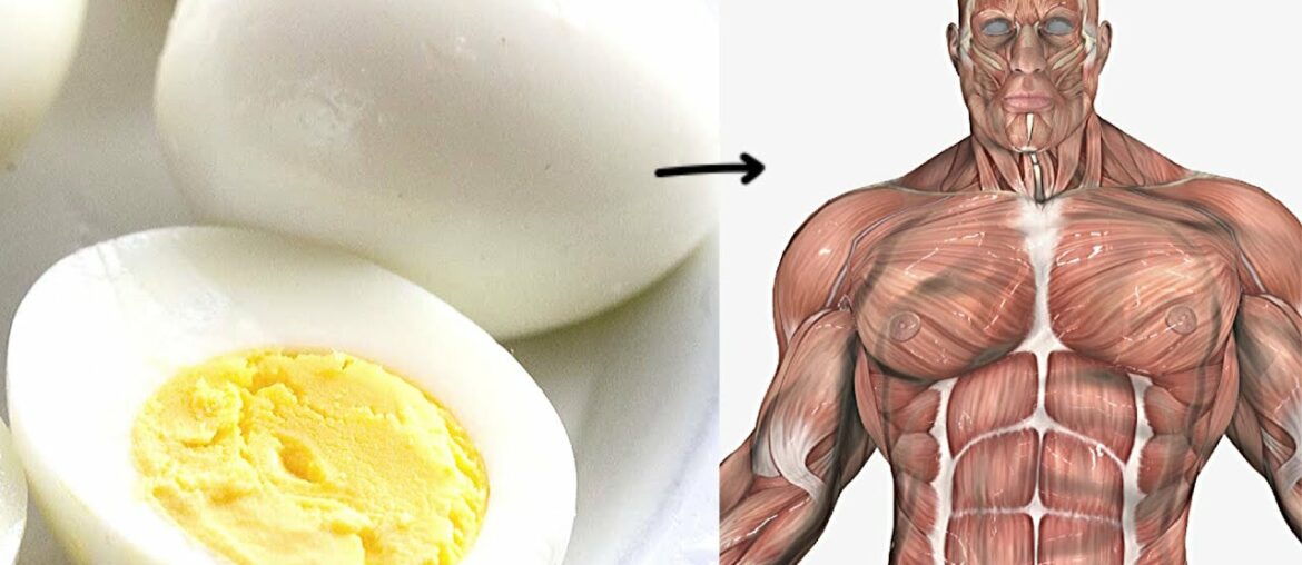 This Will Happen to Your Body, If You Start Eating 3 Eggs a Day