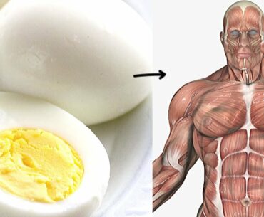 This Will Happen to Your Body, If You Start Eating 3 Eggs a Day