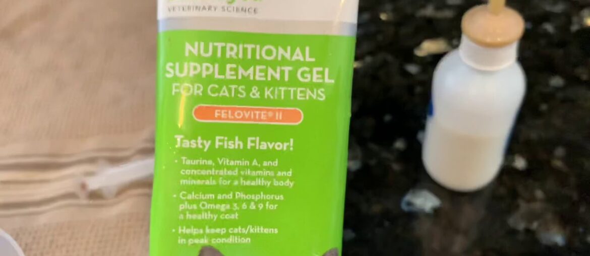 High calorie vitamin paste for kittens