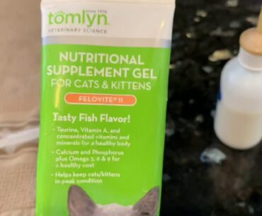 High calorie vitamin paste for kittens