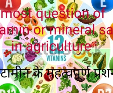 Important  question of vitamin and mineral salt कृषीविज्ञान विटामीन व खनीज लवण के महत्वपूर्ण  प्रशन