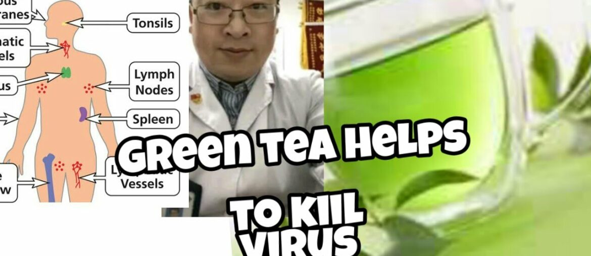 Green Tea helps to Kill Coronavirus || how to Strong Immune System|| Technical Abro