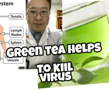 Green Tea helps to Kill Coronavirus || how to Strong Immune System|| Technical Abro