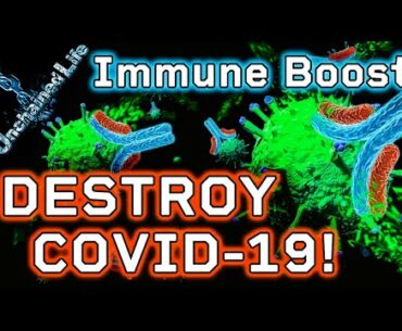 7 Ways to Boost Your IMMUNE SYSTEM and DESTROY the CORONAVIRUS! | #UnchainedLife