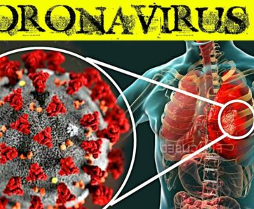 मोदी जी ने कहा है Coronavirus से बचने के लिए ये करे | Immunity Kaise Badaye Hindi