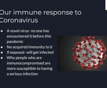 Coronavirus & the Immune/Respiratory Systems (Grades 9-12)