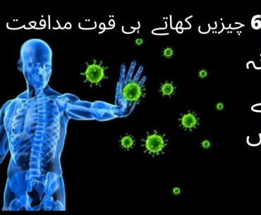 Boost Immune System How To Improve Immune System Naturally Against Coronavirus In Urdu