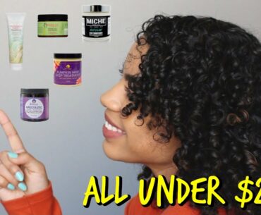 Hair Conditioners/Mask That Are Under $20!